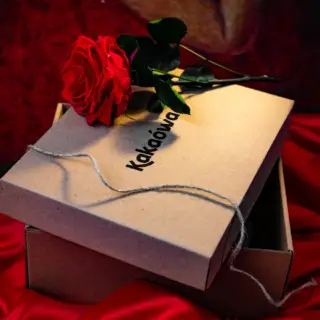 Homepage 21